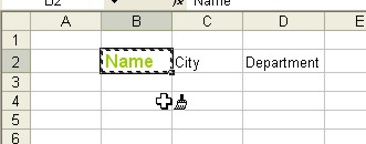 Microsoft Office Excel: Format Painter Example