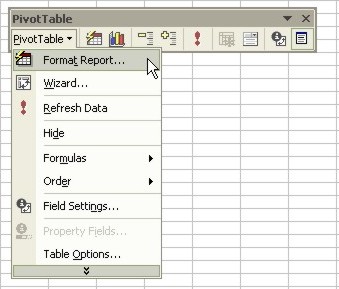 Excel Pivot Table toolbar - pivottable button