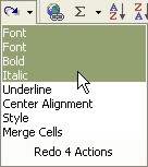 Excel for Dummies: Redo Button list