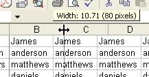 Microsoft Office Excel: Resize Column width by dragging