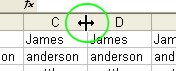 Microsoft Office Exce: Resize Column Width 1