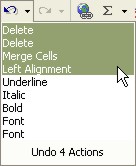 Excel for Dummies: Undo Button list