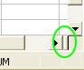 Excel Worksheet: Vertical Split Bar