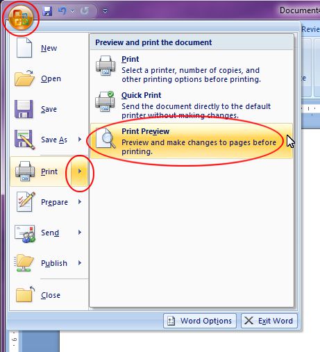 Microsoft Word 2007: Print Preview command