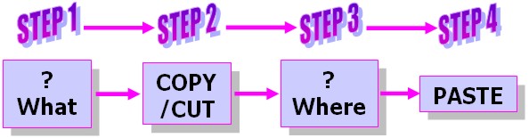 Word 2007 Tutorial: Copy & Cut example