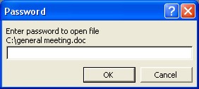 Microsoft Word Password: open dialog box