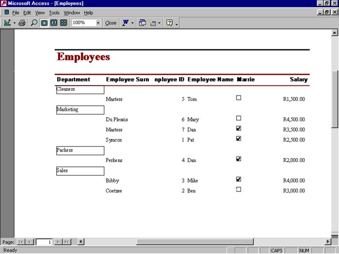 Access Database: Report Print Preview example