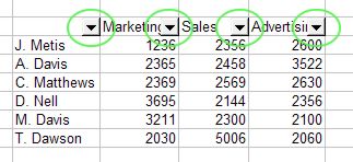 Excel Filter: AutoFilter example 1