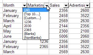 Excel Filter: AutoFilter example 2