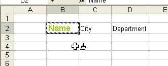 Microsoft Office Excel: Format Painter Example