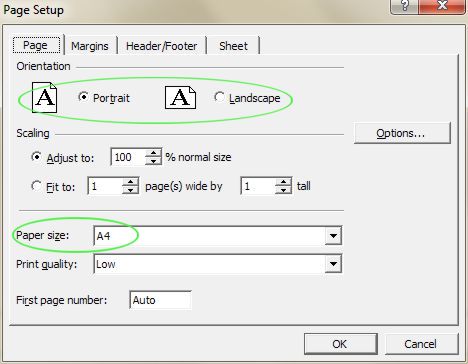 Excel Printing: Page Setup dialog box