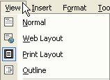 Microsoft Word Help: View menu